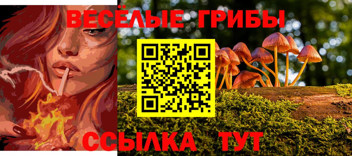 Псилоцибиновые грибы прущие грибы  Вход с VPN  Кыштым  Псилоцибиновые грибы Psilocybine cubensis 