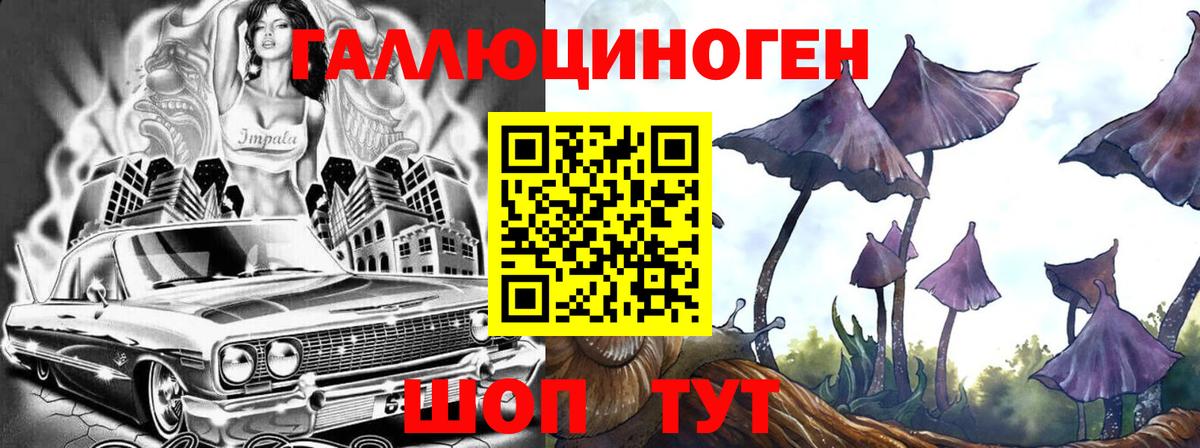 Галлюциногенные грибы Cubensis Кыштым