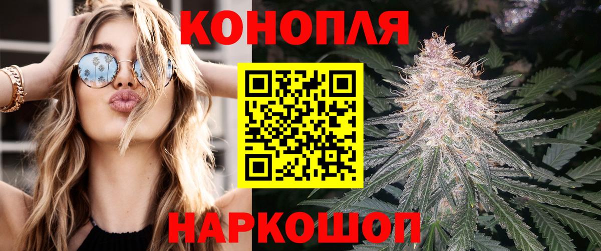 Конопля гибрид Кыштым
